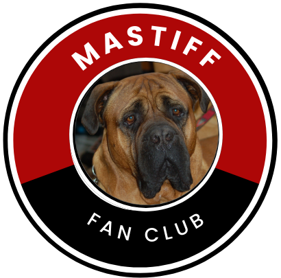 Mastiff Dog Breeds